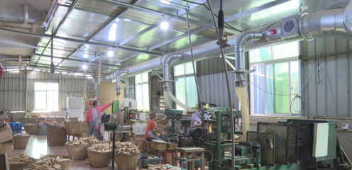 泉港 上門服務(wù)精準(zhǔn)賦能，助力寵物用品外貿(mào)企業(yè)穩(wěn)健增長(zhǎng)